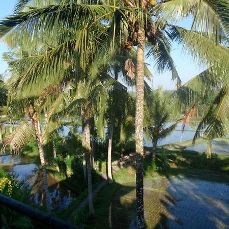 Toko Toko Bungalows Ubud Eksteriør bilde